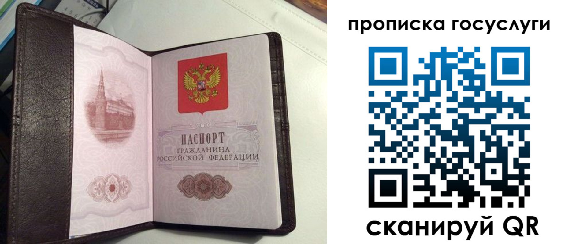 временная прописка в Лузе